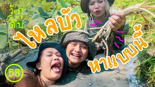 ดำน้ำแทบมิดหัว หาไหลบัว ทำตำถาดทะเลบกแบบจุกๆ! - วัตถุดิบ EP58