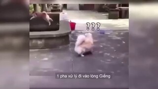 Những pha có đỡ cũng không đỡ nổi #memehai