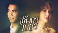 หลังคาใบบัว ตอนที่ 2