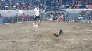 2hits 2nd fight win champion