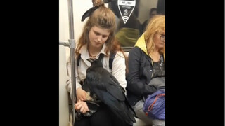 俄罗斯地铁里不寻常的宠物