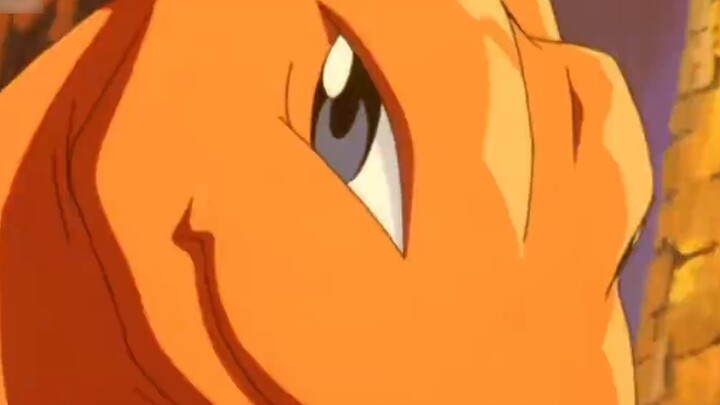 [Pokémon] Siapa yang tahu kapan Charizard muncul!