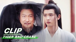 Wang Yuqian Brings out Lao Zhang’s True Identity | Tiger and Crane EP11 | 虎鹤妖师录 | iQIYI