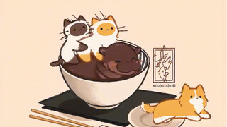 “猫猫的诞生”