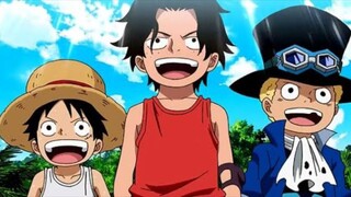 Mengejutkan Ternyata Sabo Juga Pemilik Nama D - ONE PIECE