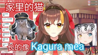 冰糖:给你康康我家的猫 京华:Kagura mea!