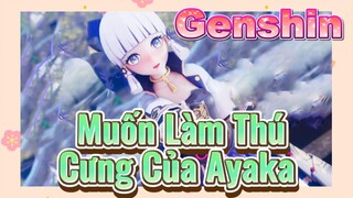 Muốn Làm Thú Cưng Của Ayaka