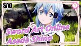 Sword Art Online-Click in to see your wife, Asada Shino_1