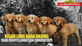 Kisah Lima Anak Anjing Yang Berjuang Menyelamatkan Induknya | Alur Cerita Film AIR BUDDIES (2006)