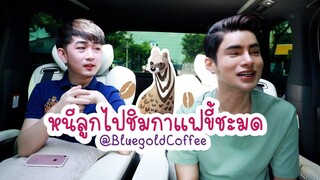 หนีลูกไปนั่งชิลล์ ชิมกาแฟขี้ชะมด