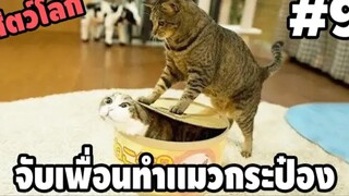 รวมคลิปตลกๆ : เมื่อปลากระป๋องที่บ้านหมด…!!?