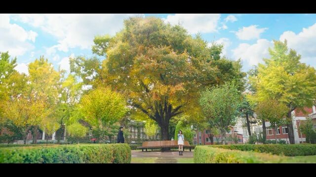 Spring of youth 2025kdrama