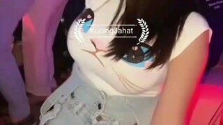 Kucingku yang gemoy 🐱🐈