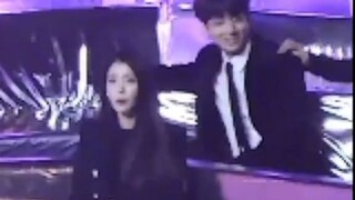 iu and jungkook