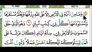 12 - Juz 12 Membaca Alquran Dengan Nada Pelan, Merdu, Dan Mudah Di Ikuti (by Tahsinul Quran & Doa)