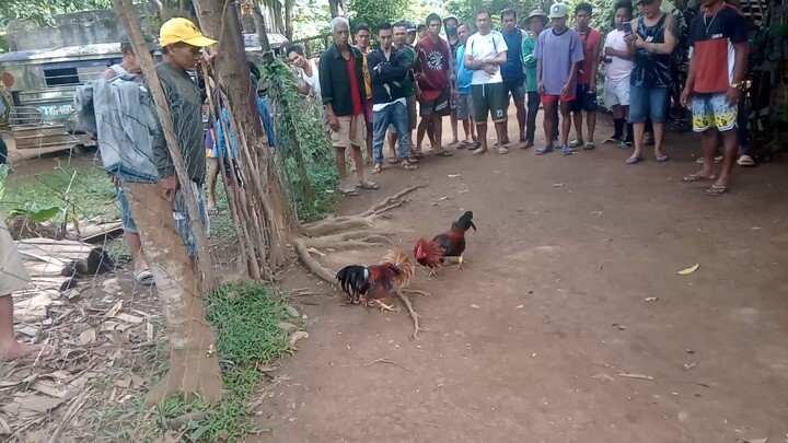 pang 5 muna Yan kahit saan ka talaga ilaban Lodi .swabii padin Palo mo 👏.