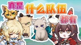 这是猫猫队，有没有狗狗队