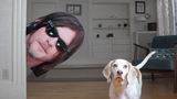 Dogs vs Norman Reedus Prank สุนัขตลก Maymo และ Pot Pie