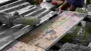 Mandi di sawah gaessss #anakdesa