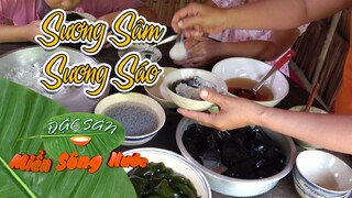 Món sương sâm sương sáo mát lạnh giải nhiệt ngày nắng nóng - Đặc sản miền sông nước