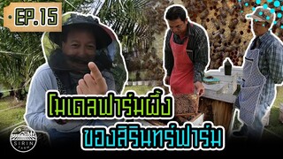 โมเดลฟาร์มผึ้งของสิรินทร์ฟาร์ม Beekeeping The Sirin Farm Way  [ SIRINFARM CHANNEL ] EP.15