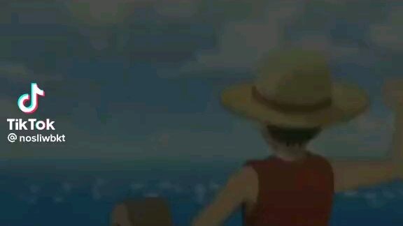Straw hats pirates