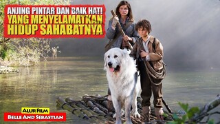 Terimakasih Kau Telah Menyelamatkan Kami... | Alur Cerita Film BELLE AND SEBASTIAN (2015)