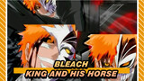 [Bleach] A King and His Horse