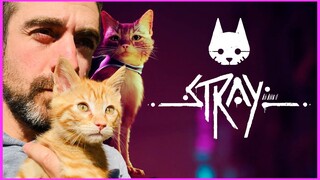 Stray // Primeras impresiones y gameplay PS5