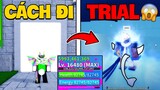 Roblox - Cách Đi TRIAL Thức Tỉnh TỘC V4 (Race Awakening) Được TIẾT LỘ? Blox Fruit | Blox Fruits