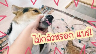 โลกของแสนดี ตอน เตรียมตัวโดนฉีดตูดดดด