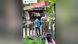 Reply to  Ngoài được đánh răng còn được tẩy tế bào chết sương sương nữa nè 🤣🤣🤣thaocamvien sothuvuinhon hama vuinhon xuhuong