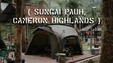 15℃. Kem Site Sg Pauh. ASMR, Group Camping. Camp in the forest. Malaysia Camping | Camping Vlog