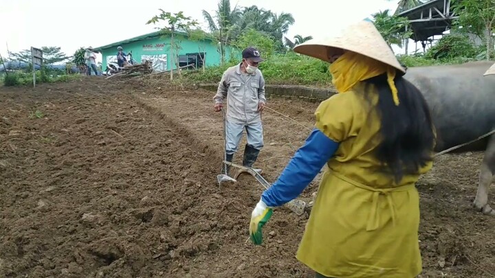 2nd Day of TESDA Agriculture Leaning