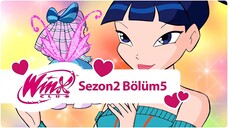 Winx Club - Sezon 2 Bölüm 5 - Sihirli Bağ