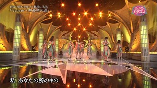 Nettaigyo no Namida by Flower — Live Performance on Music Dragon [13th June 2014]