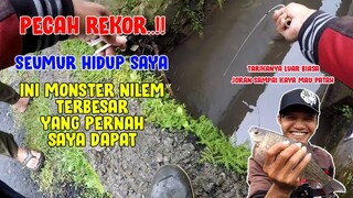 PECAH REKOR..!! Ini Ikan Nilem TERBESAR yang Pernah Saya Dapat Seumur Hidup!!