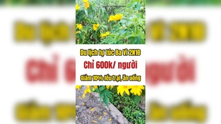 Du lịch tự túc Ba Vì 2N1Đ