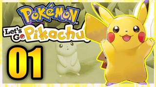 Pokemon Let's Go Pikachu - Gameplay Walkthrough Part 1 - The Beginning! [ENGLISH]