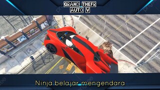 Grand Thefr Auto (GTA V)