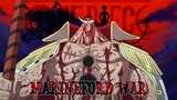 One Piece「AMV」- Marineford War
