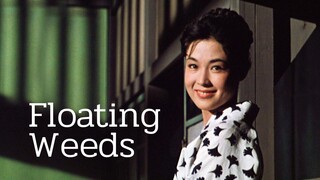 Floating Weeds (1959) subtitle Indonesia full movie