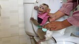 Monkey Baby Maku goes to the toilet and changes diaper | Maku Cry When Mom Clean diaper