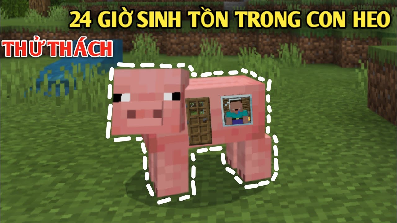 Minecraft PE là một thế giới nguy hiểm đầy thử thách, nhất là với con heo của bạn. Bạn có dám tham gia thử thách 24 giờ sinh tồn trong thế giới này không? Hãy đón xem hình ảnh của chú heo dũng cảm và tràn đầy nghị lực.