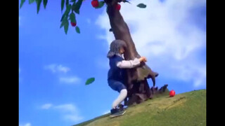 【机器鸡】牛顿倒拔苹果树
