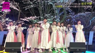 Sakurazaka46 - Samidare Yo @CDTV Live! Live! (Spring Special) 2022