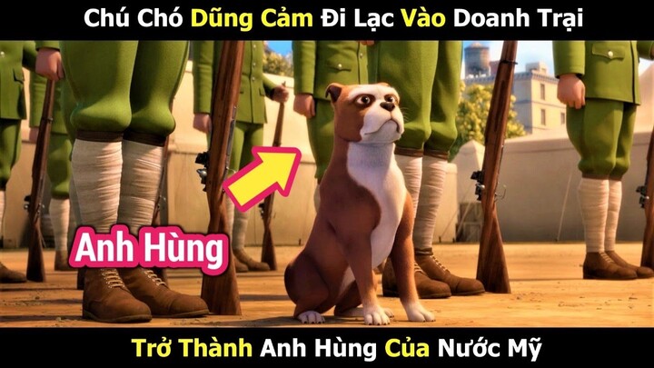 Chú Chó Hoang Trở Thành Anh Hùng Nước Mỹ | Review Phim Hoạt Hình | Tóm Tắt Hoạt Hình Hay