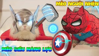 Thú Cưng Vlog | Mèo Người Nhện và Mèo Siêu Năng Lực #1 | Mèo thông minh vui nhộn | Smart cat funny