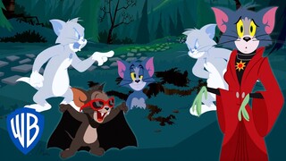 Tom & Jerry | Trick or Treat! | WB Kids