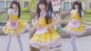 【奶糕】猫耳小女仆撞进心里啦❤